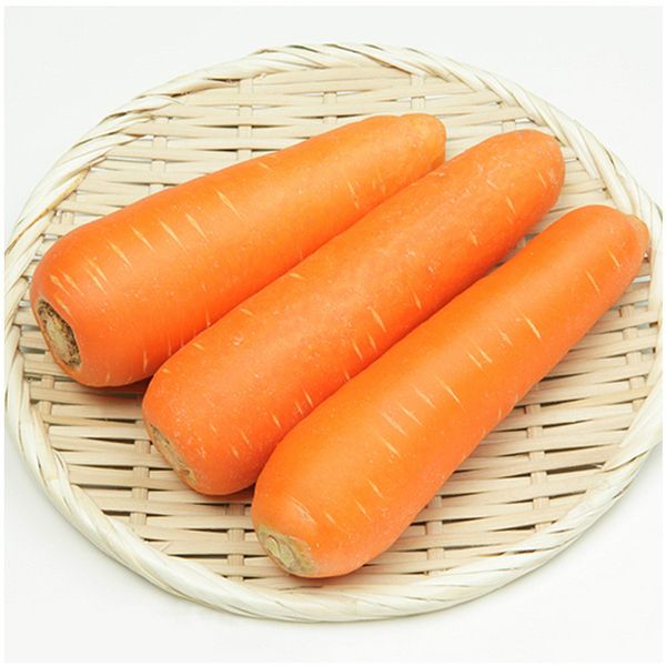 Fresh Carrot from China supplied by Xiamen Sino Orchard Industry Co. Ltd - Carton Box (=Cardboard Box) Fresh Carrot