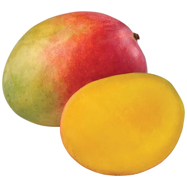 Organic Kent Mango from Burkina Faso supplied by AGRO BURKINA SARL - Whole Fresh Mango