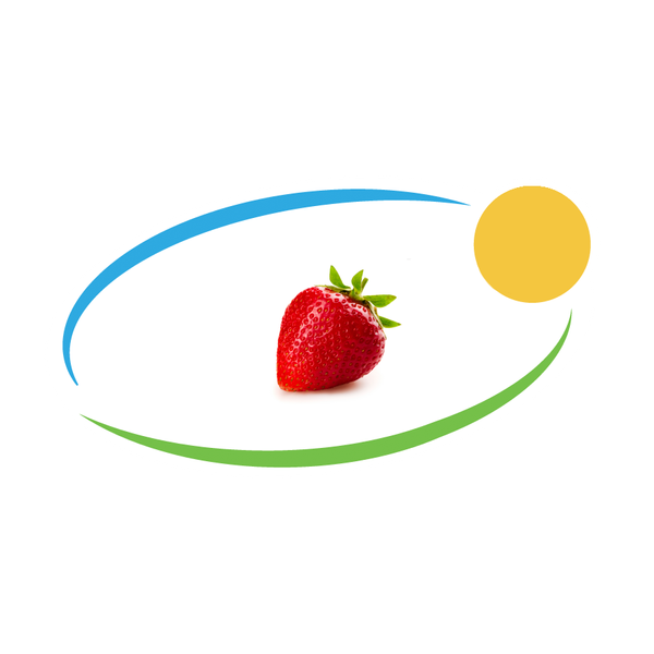 Fresh Strawberry from 세르비아 supplied by Select-Fruit d.o.o. - Conventional 신선 딸기
