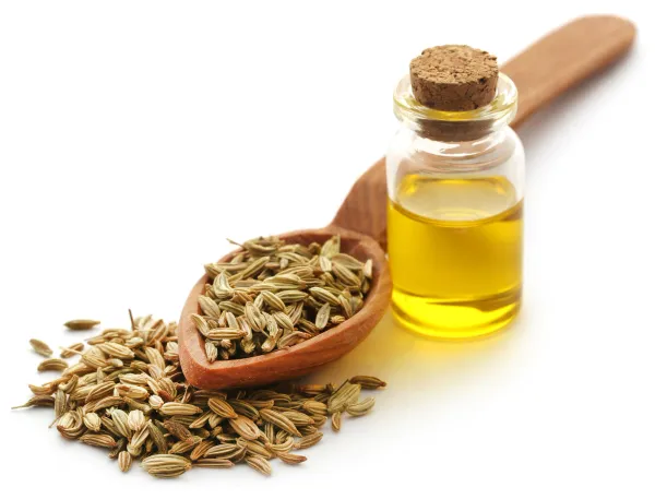 Fennel Oil from 멕시코 supplied by RAGO QUIMICOS - Extra Virgin 펜넬 오일