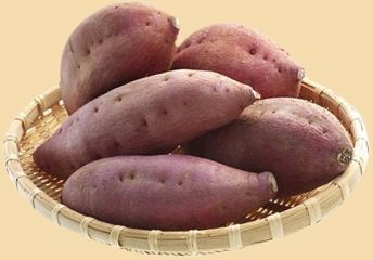 Sweet Potato from 미국 supplied by Garcia Farms Produce - Washed 고구마
