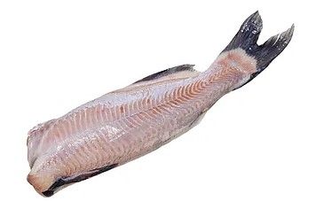 Catfish from 미국 supplied by America's Catch, Inc. - Skinless (=Skin Off) 냉동 메기 통마리