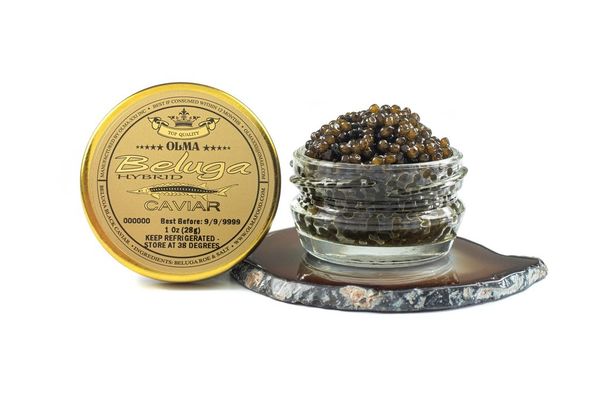 beluga sturgeon caviar from United States supplied by OLMA-XXI, Inc. - OLMA IV Inc - black Frozen Sturgeon