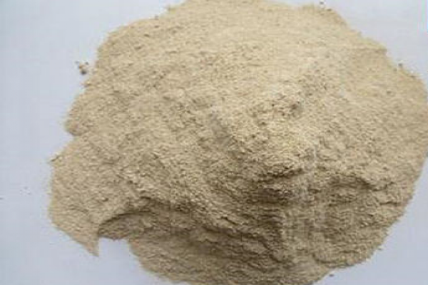 Rice Protein Meal from 남아프리카공화국 supplied by TRINITY POULTRY FARM - PP Bags (50kg) 쌀겨