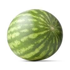 Watermelon from 튀니지 supplied by SOMAPROC - Whole 신선 수박