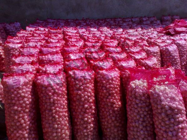 Onion from 네팔 supplied by Sun Outdoor Pvt Ltd - Field 신선 양파