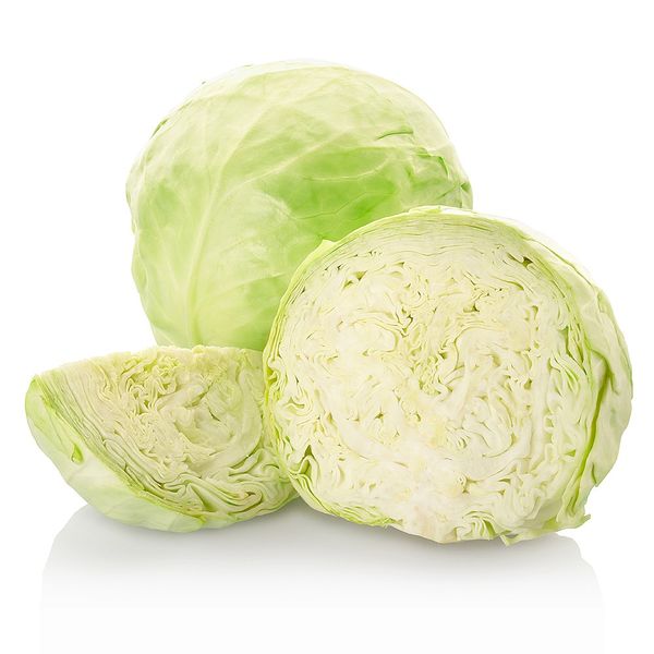 Cabbage from South Korea supplied by Good morning Korea - White Cabbage Fresh Cabbage