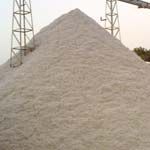 Cotton Seed from 인도 supplied by Mayur Ginning and Pressing Pvt. Ltd. - Raw (=Natural) 목화 씨