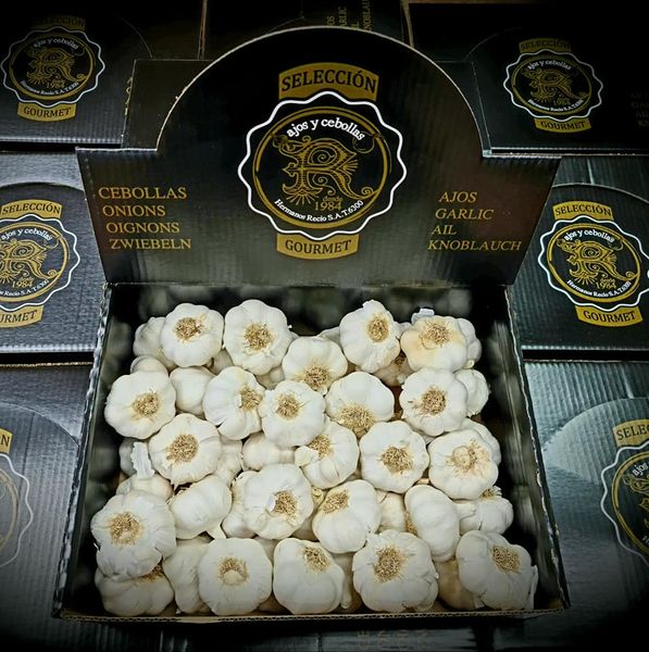 Fresh Garlic from 스페인 supplied by Brothers Recio SAT 6300 - 봄 마늘 - 바이올렛 신선 마늘