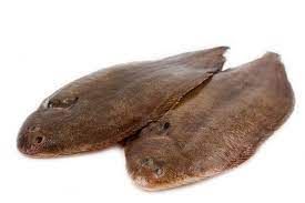 Fresh Sole from 덴마크 supplied by Fonfisk Hanstholm - Fresh (=Chilled=Raw) 냉동 솔피쉬