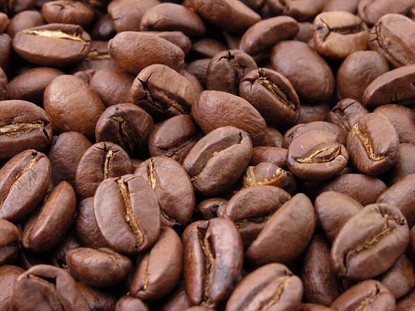 Roasted Coffee from 우간다 supplied by Frontier Logistics International - 갈색 볶은 원두