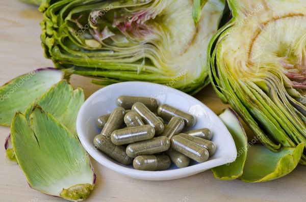 Artichoke Leaf Extract from 튀르키예 supplied by Cengelkoy Spice Producer - Green 신선 아티초크
