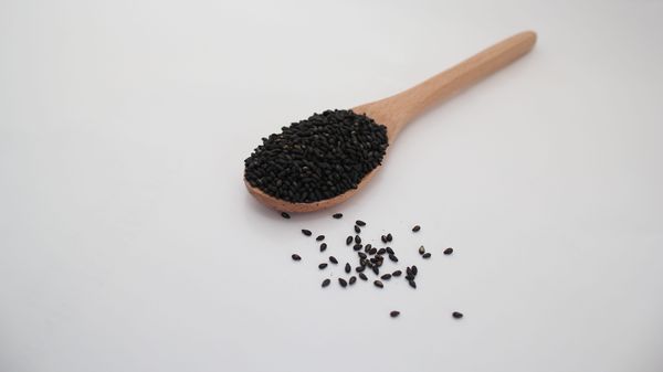 Black Sesame from 인도 supplied by WholeSeedFarm - 참깨