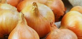 Onion from Germany supplied by Johann Koch e.K. - Whole Fresh Onion