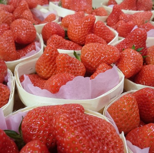 Strawberry from 프랑스 supplied by La source aux fruits - Conventional 신선 딸기