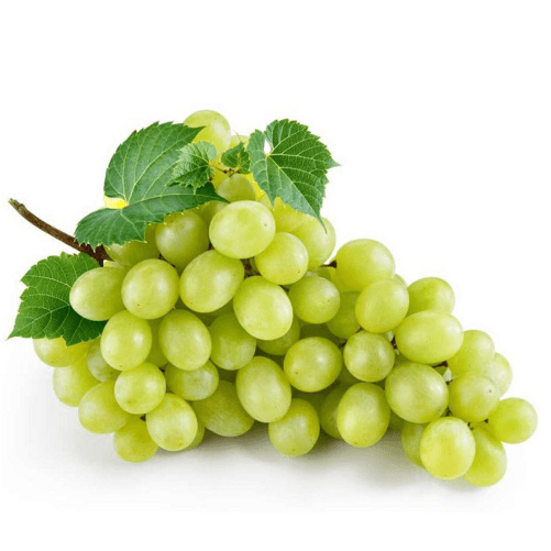 Grape (Fresh) from Chile supplied by EXPORT.Y SERVICIOS RUCARAY S.A - Seedless Fresh Grape