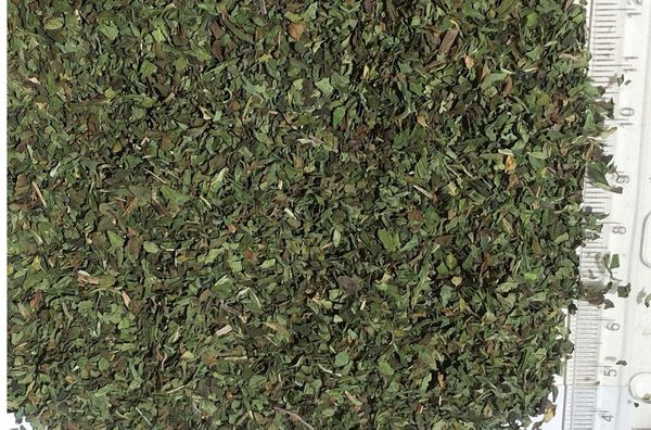 Spearmint from 이집트 supplied by Agricola international - 등급없음 박하