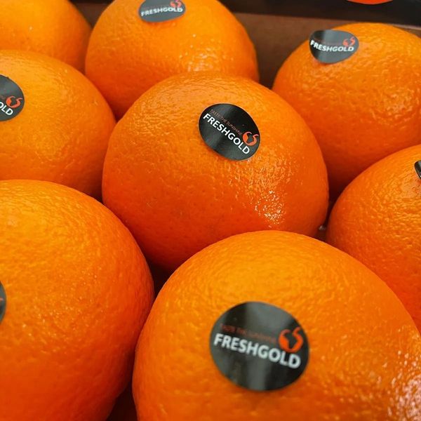 Orange from 남아프리카공화국 supplied by Fresh Gold SA Exports - Navel - Cara Cara (=Pink Navel=Red Navel=Power Orange) 신선 오렌지