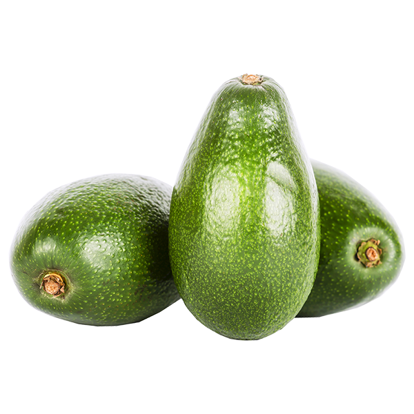 Avocado from 도미니카공화국 supplied by The Association of Agro Exportadores del Norte, Inc. - Whole 신선 아보카도