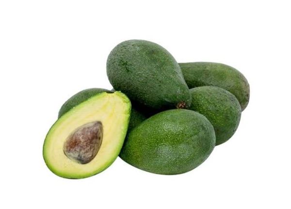 Kenya from 케냐 supplied by Mina logistics services LLC - 신선 아보카도