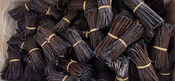 Gourmet Vanilla Beans from 독일 supplied by Visionfood GmbH & Co. KG - Unspecified 바닐라