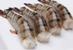 Headless Shell-On Shrimp from 인도 supplied by Ram's Assorted Cold Storage Ltd. - HLSO (Headless Shell On) 냉동 새우