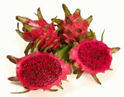 Dragon Fruit from United States supplied by Lychees Online - Red Fresh Dragon Fruit