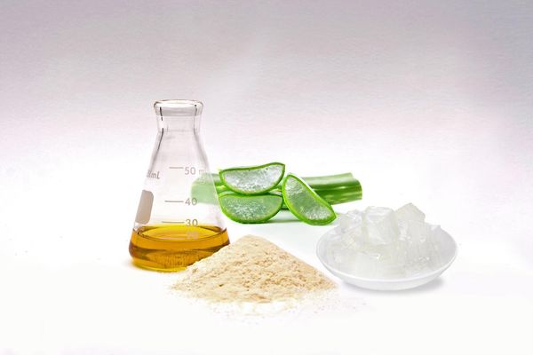 Natural Aloe Vera from 멕시코 supplied by Aloe Jaumave S.A. de C.V. - Chunks 알로에베라