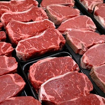 Fresh Beef from Germany supplied by Jade Slaughterhouse Wilhelmshaven GmbH - Red Fresh Whole Beef