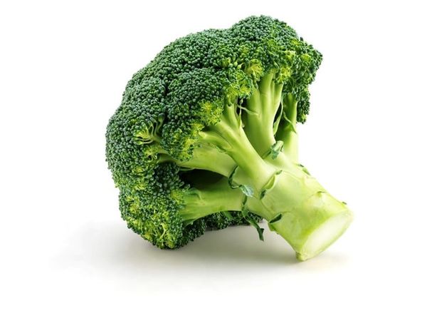 Fresh Organic Broccoli from 독일 supplied by BioKräuterei Oberhavel - Whole 신선 브로콜리 꽃