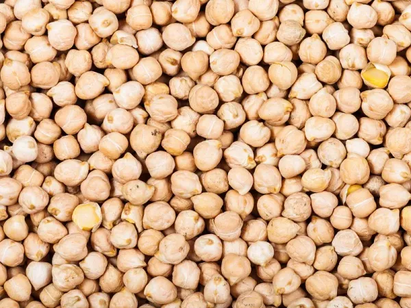 Dried Chickpea from 말라위 supplied by Export Trading Company Ltd - Kabuli 말린 병아리콩