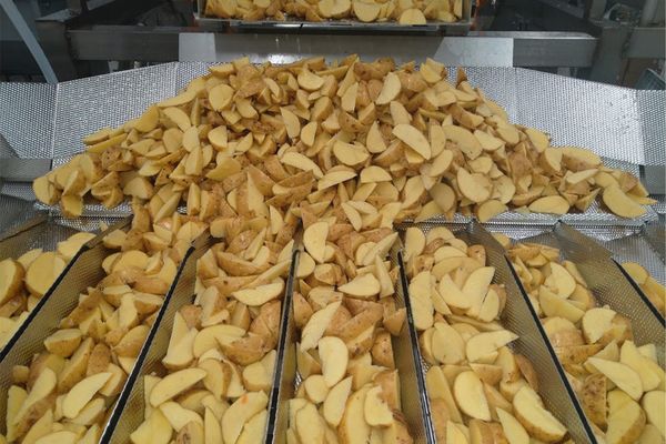 Frozen Potato from Finland supplied by Kotiranta Vegetable Products - Peeled (=Without Skin) Fresh Common Potato
