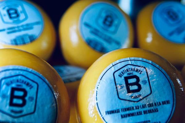 Farmhouse Cheese from Belgium supplied by Bertinchamps - Farmstead Other Cheese