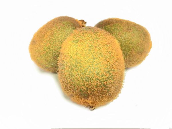 Kiwifruit from Malaysia supplied by K.L. Fruits Sdn. Bhd. - 85-120 g Fresh Kiwifruit
