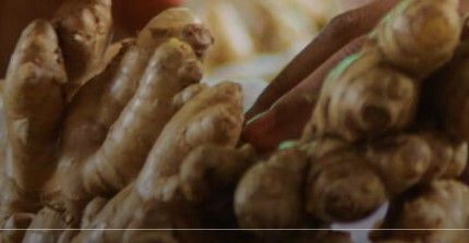 fresh ginger from Colombia supplied by Eurofresh Dominicana Srl - Raw Whole Ginger