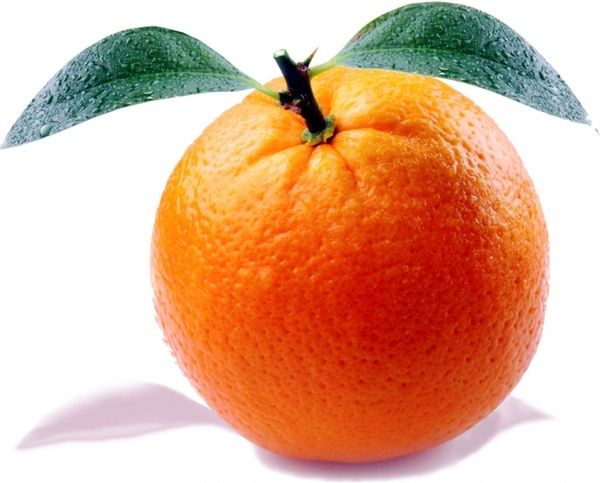 Organic Orange from Germany supplied by MACALEA GmbH & Co KG - Whole Fresh Orange
