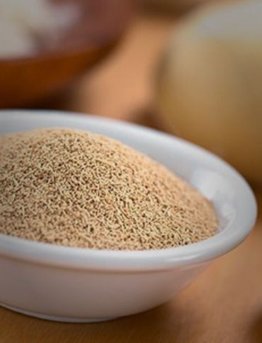 Yeast from Brazil supplied by Enersugar Dds Administração de Bens e Participações LTDA - Active Yeast