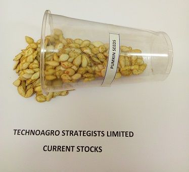 Pumpkin Seeds from Tanzania supplied by TechnoAgro Strategists Limited. - Grade A Pumpkin Seed