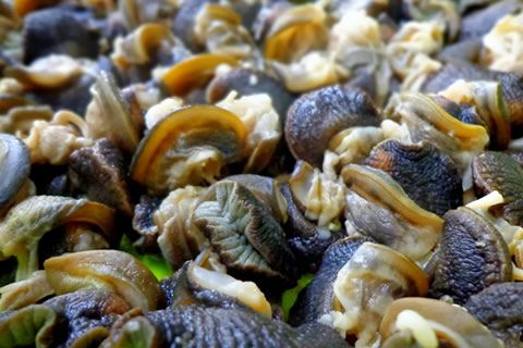Snail from 나이지리아 supplied by Charles De Great Nigeria Limited - Giant African Land Snail (=Achatina fulica) 냉동 달팽이