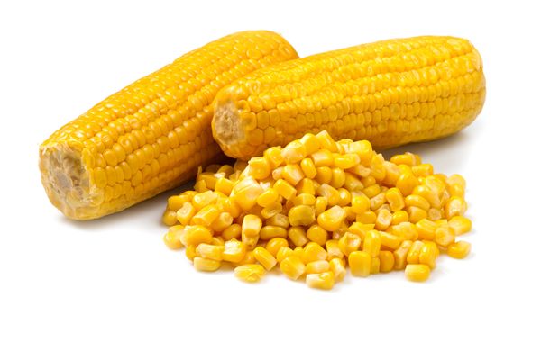 Maize from 오스트리아 supplied by Glatz GmbH - Dried 옥수수