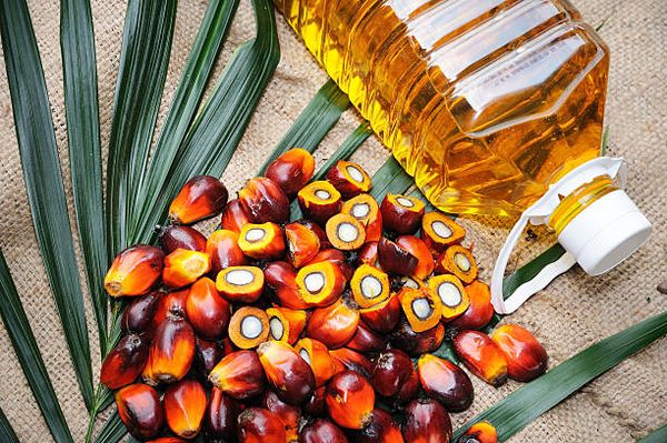 Palm Oil from United States supplied by Adams Group - organic RBD Palm Oil
