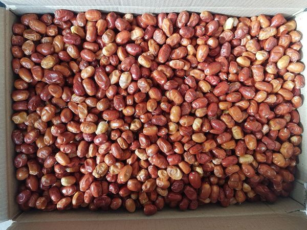 Dzhigida from 우즈베키스탄 supplied by Natural Dry Fruits - Dried 신선 패션프루트