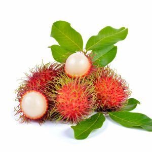 Rambutan from Vietnam supplied by RED PINE INTERNATIONAL JSC - Red Fresh Rambutan