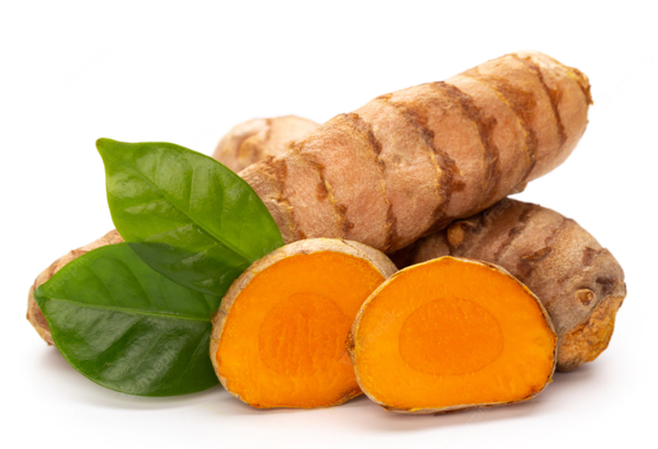 Fresh Organic Turmeric from United States supplied by CROWN PACIFIC INTERNATIONAL - Fresh (=Raw) Turmeric
