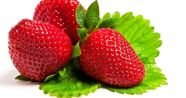 Fresh Strawberry from Turkiye supplied by Kls Agriculture - Conventional Fresh Strawberry