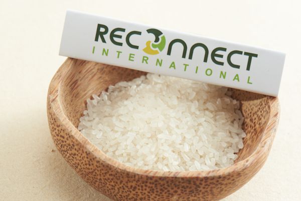 504 Broken Rice Price ODE/OEM Delicious Food Rice HALAL BRCGS HACCP ISO 22011 Vacuum Packed Asia Manufacturer from 베트남 supplied by Reconnect International Limited Company - As per customer's request 쌀
