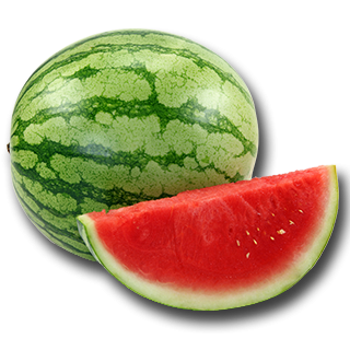 Fresh Watermelon from 그리스 supplied by Taktikos Fruits - Celebration 신선 수박