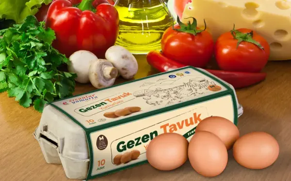 Roaming Chicken from 튀르키예 supplied by Ercanlar Yumurta Yarka Yem Gida insaat Nakliyat Sanayi Ve Ticaret A S - Fresh 달걀