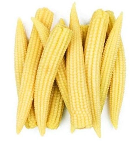 Baby Corn from Kenya supplied by Agro First Epz Ltd - For Food Maize (Corn)