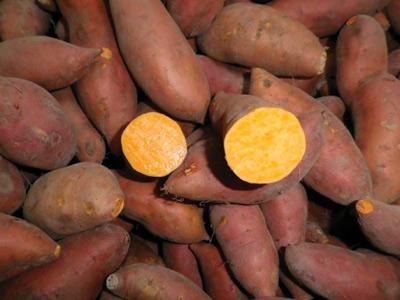 Sweet Potato from 포르투갈 supplied by Camposol - Raw 고구마